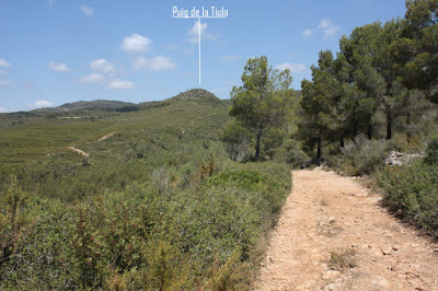 SANT JAUME DELS DOMENYS-PUIG DE LA TIULA, camí en direcció al Fondo del Canyamàs i Torrent de Llobets