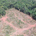 Deputados aprovam tipificação de crime para quem causar desastre ambiental