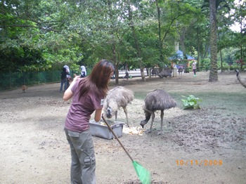 IMGP0524