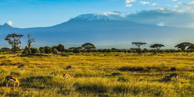 Sabana