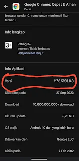 Cara Cek Versi Browser Google Chrome di Android
