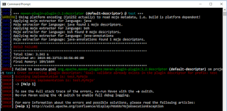 maven-plugin-error