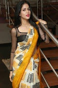 Lavanya Tripathi glam pics in saree-thumbnail-16