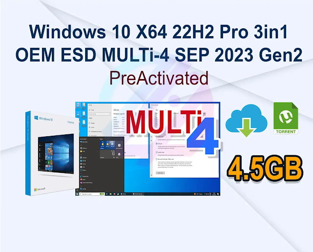 Windows 10 X64 22H2 Pro 3in1 OEM ESD MULTi-4 SEP 2023 Gen2