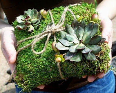 What a great bohemian style This moss ring bearer's pillow is a sign of the