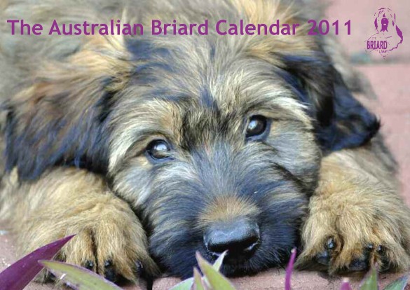 2011 calendar australia. 2011 calendar australia. 2011 calendar australia.