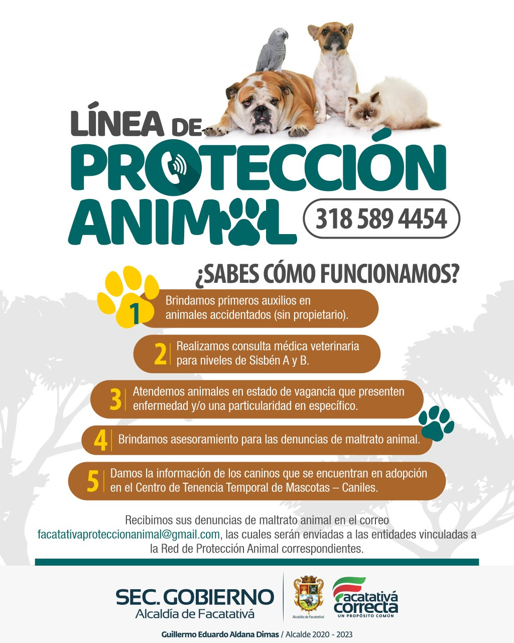 LÍNEA DE PROTECCIÓN animal de Facatativá: ¿ya sabes cómo funciona? |  Adrenalina Informativo Regional