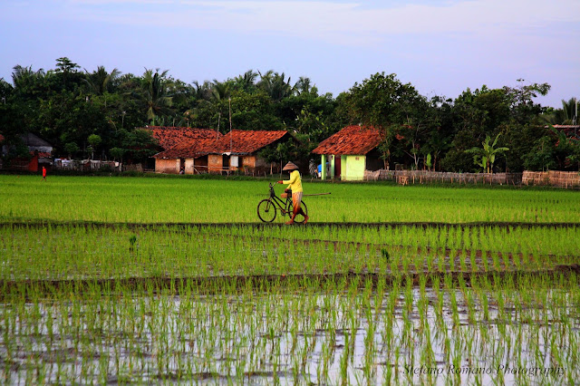 Karawang, Indonesia. 2010