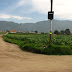 VT-00033 TERRENO EN LLANOS DE LA CRUZ, OLINTEPEQUE