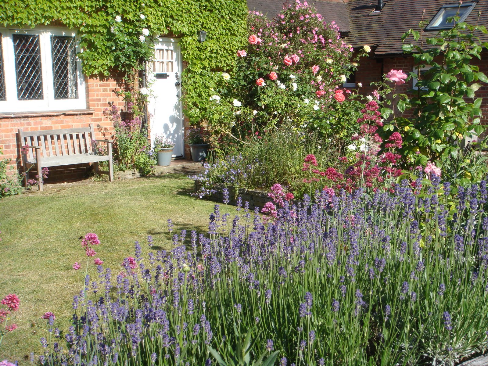 花日記 イギリスの四季の花 初夏 夏編