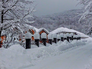 Синяк. Вул. Головна