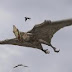 Pterosaurus "Pterodactyl"