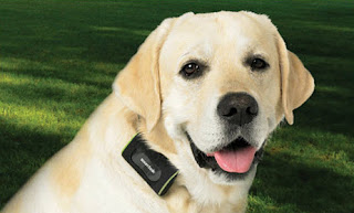 Pet GPS Systems