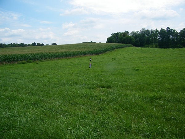 field field