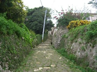 CIMG1704