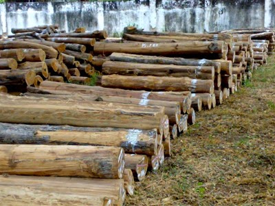  Bahan  konstruksi kayu  