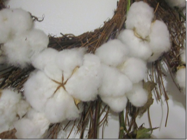 Cotton