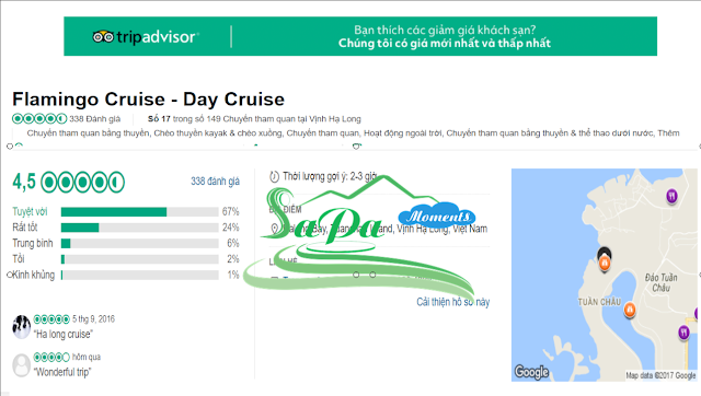 Flamingo cruise tripadvisor review