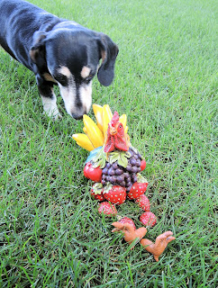 Frooster the fruit rooster meeting Doggie.
