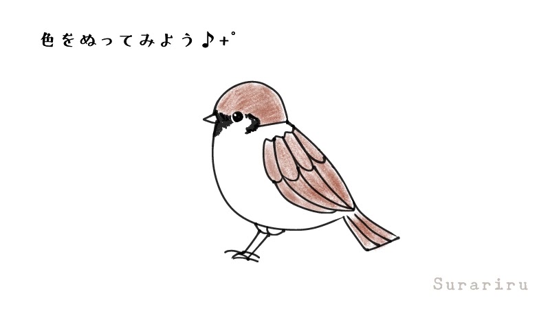 鳥のスズメ 雀 のイラストの簡単な描き方 遠北ほのかのイラストサイト