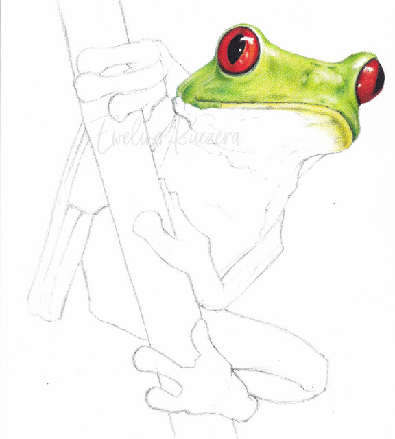 The picture shows the sixth step from the tutorial - coloring frog's second eye