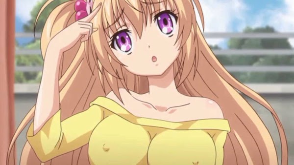 Baka na Imouto wo Rikou ni Suru no wa Ore no xx dake na Ken ni Tsuite