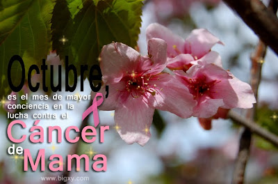 Campaña mundial contra el Cáncer de Mama (distintivos)