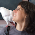 Having a Pigeon As a Pet Is Easier Than You May Think (Part 3) :