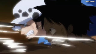 ワンピースアニメ 1028話 ルフィ トラ男 | ONE PIECE Episode 1028