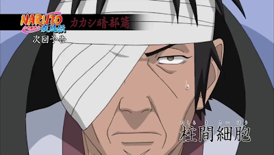 Naruto Shippuden Episode 351 Subtitle Indonesia