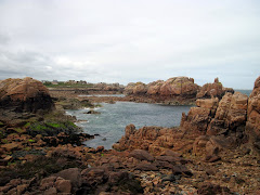 Rugged coastline
