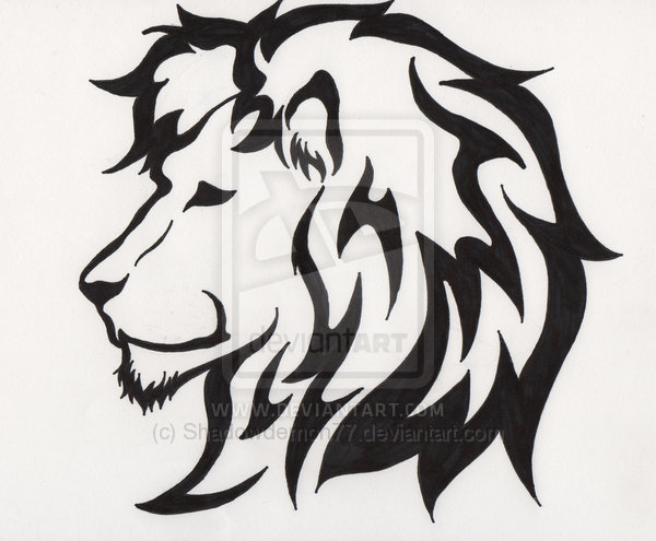 lion tattoos for designs new