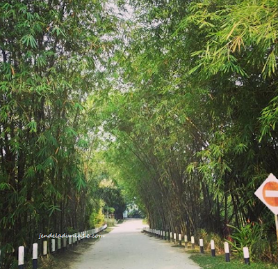[http://FindWisata.blogspot.com] Berwisata ke Taman Alam Mayang Pekanbaru 