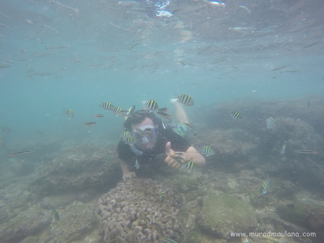 Saya Snorkeling di Pantai Nglambor 7