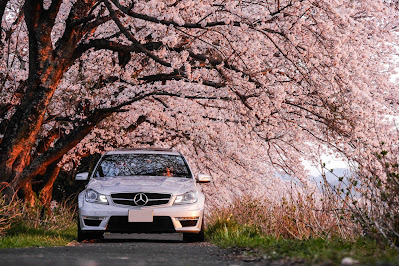 C63AMG