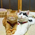De mãos dadas