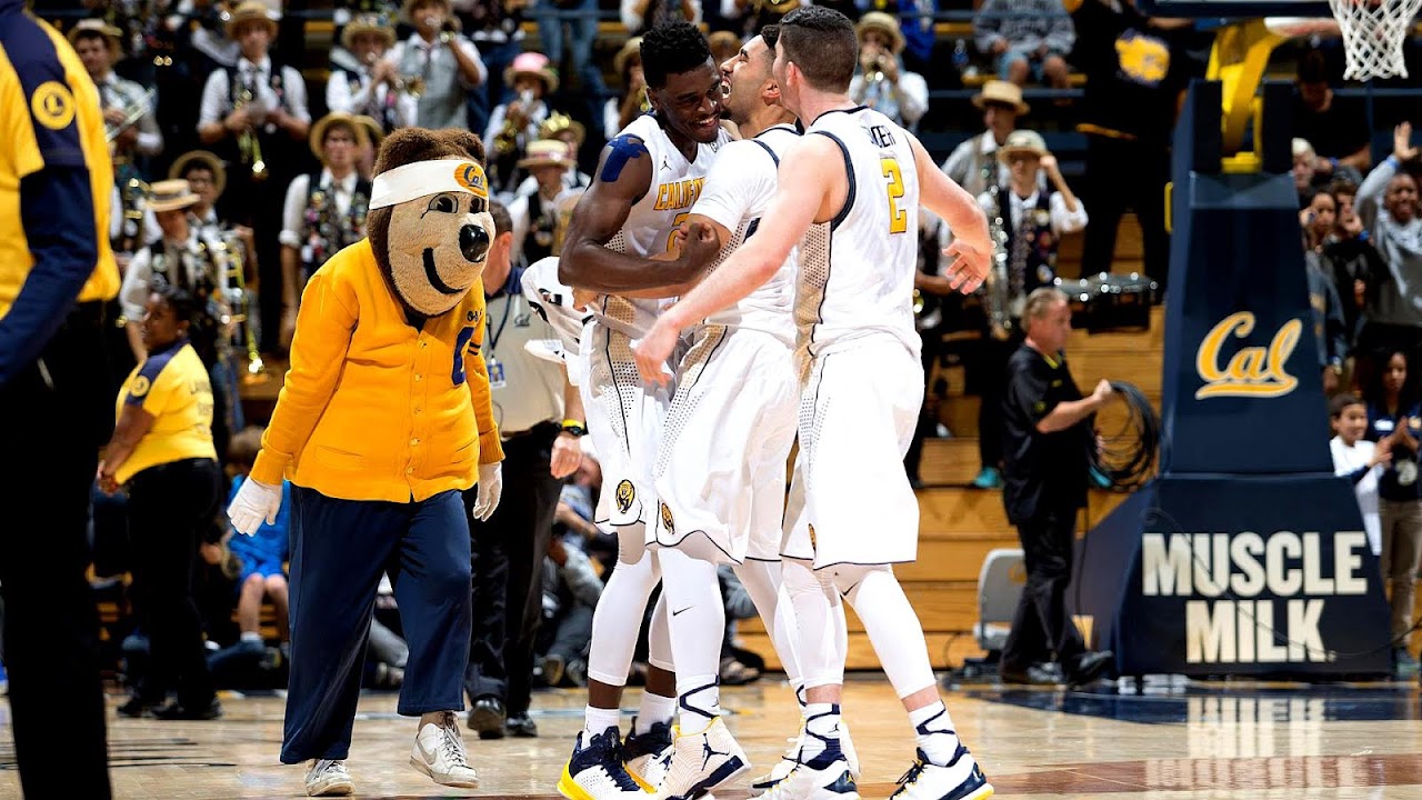 2015-16 California Golden Bears men's basketball team