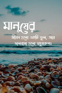 লেখা পিকচার কষ্টের