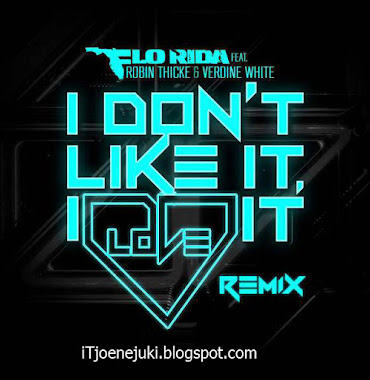 Flo Rida – I Don’t Like It, I Love It (feat. Robin Thicke & Verdine White) [Noodles Remix] – Single iTunes Version