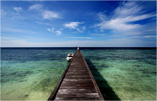 Pulau Kakaban Tempat Wisata Pulau Kalimantan