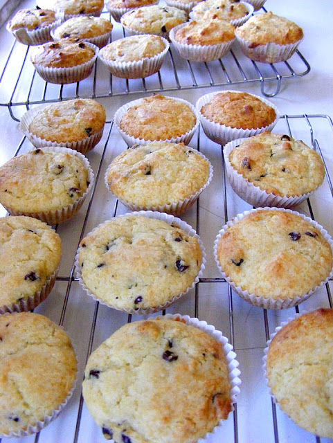 Homemade GF Choc Chip Cupcakes. Photo by Loire Valley Time Travel.