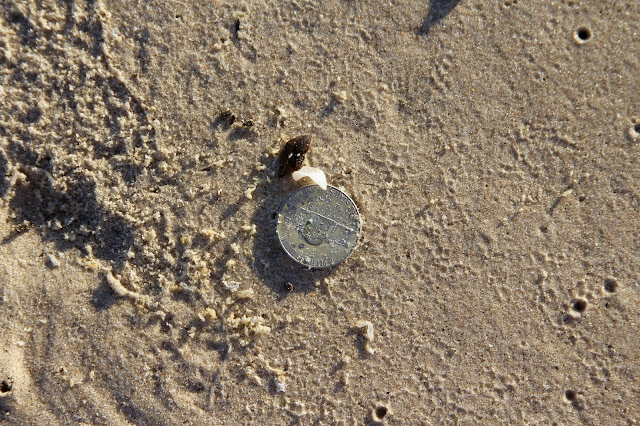 Found a Nickel at Matagorda Beach