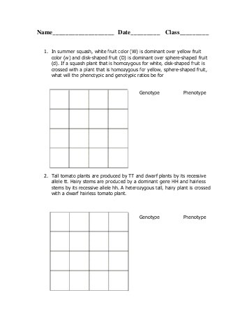 PDFdihybrid cross BioEYES - dihybrid cross worksheet