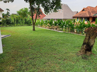 Pembekal rumput