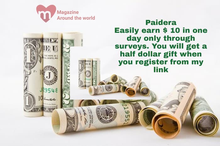 How To Make $ 10 In One Day from Paidera