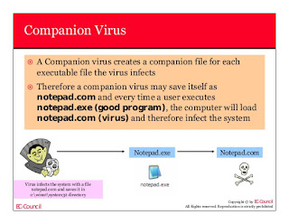  Virus secara umum merupakan sebuah nama yang dipakai untuk menamai sesuatu yang sanggup m 8 Jenis Virus Komputer Berbahaya & Cara Mengatasinya