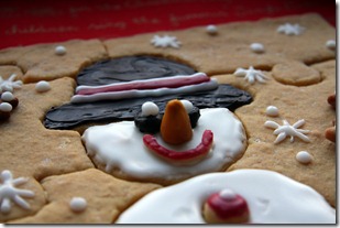 biscopuzzle-12