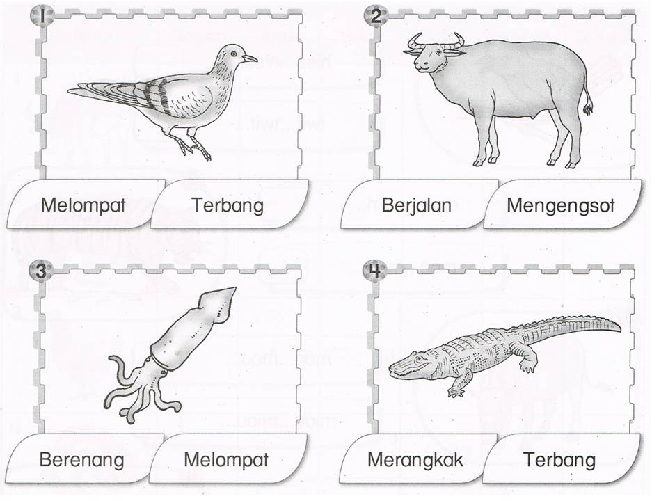 Dunia Sains dan Teknologi Tahun 1 (KSSR): Latihan