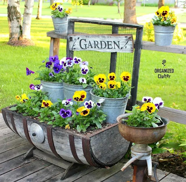 Planting Pansies On The Deck Junk Garden Style #pansies #galvanized #oldsignstencils #junkgarden #stencil #sign #gardensign #containergarden