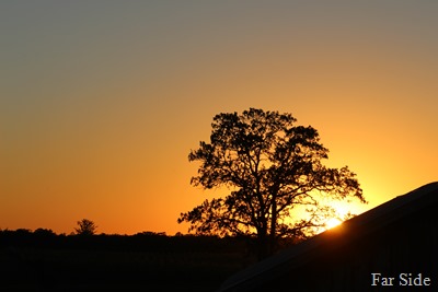 Sunset September 13